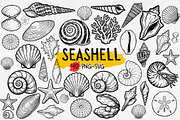 Seashell Clipart SVG PNG, an Object Graphic by iloveTemplate (Thumbnail 1 of 5)