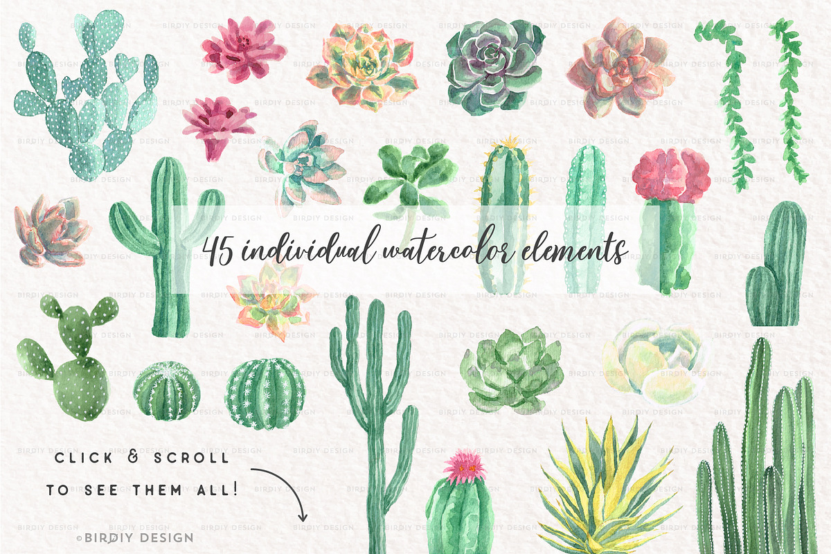 Watercolor Cactus and Succulents 2, an Illustration by BirDIY Design (Photo 3 of 3)