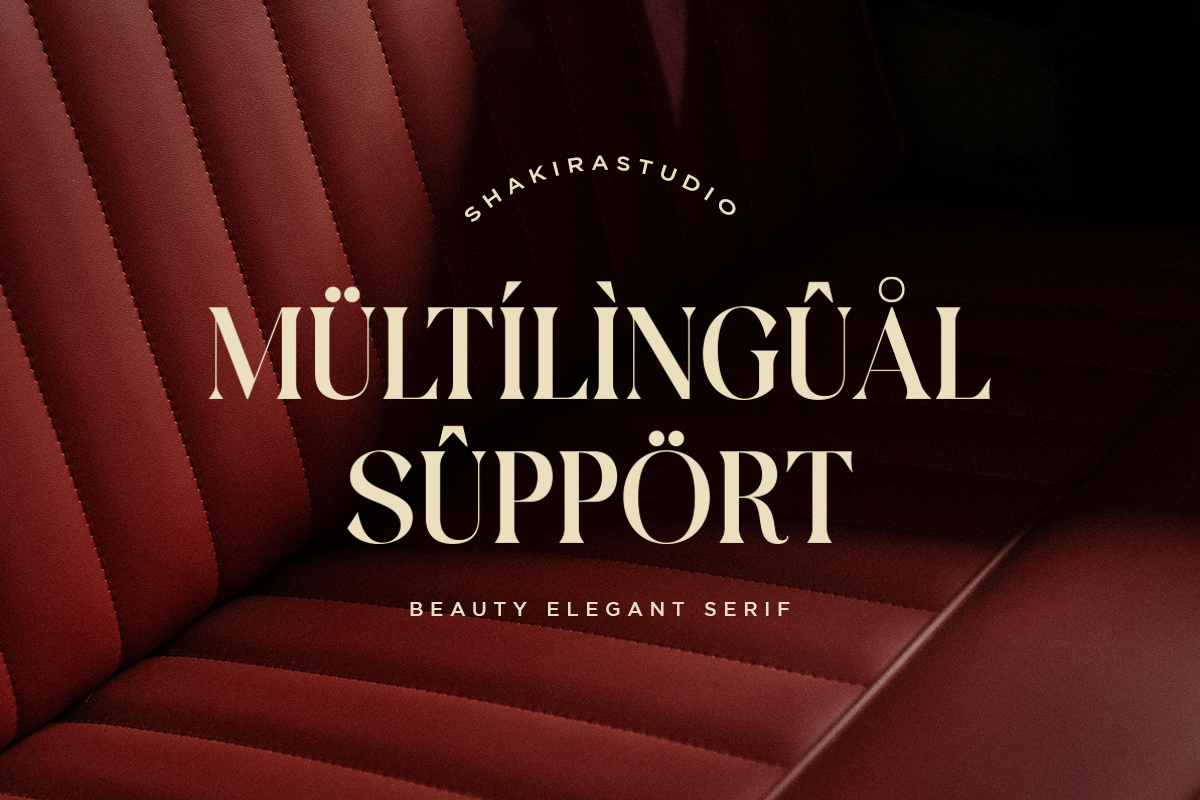 Drakune - Beauty Elegant Serif, a Serif Font by Shakira Studio (Photo 10 of 10)