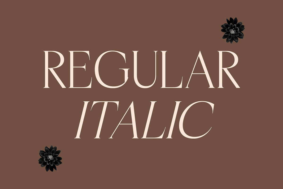 Casselin Modern Serif Font, a Serif Font by Letterena Studios (Photo 7 of 15)