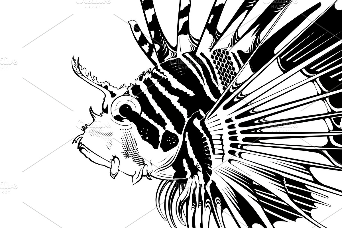 Tropical fish. Vector illustration, an Animal Illustration by Tettygreen (Photo 2 of 3)