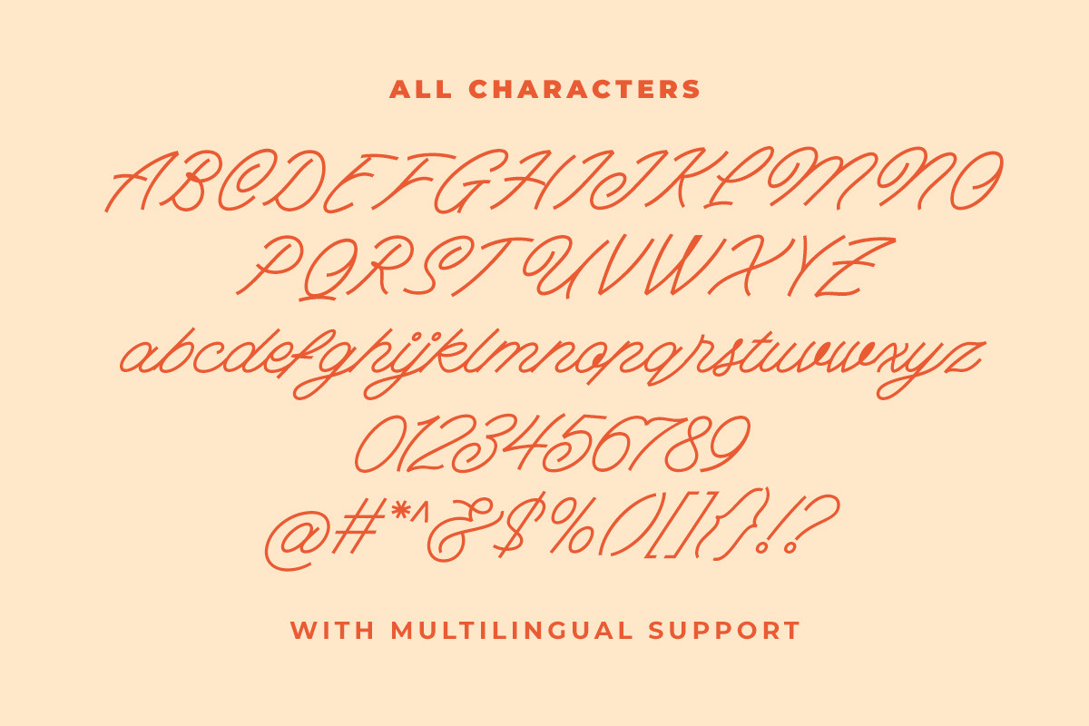 The Hildesheim Monoline Script, a Script Font by Letterhend Studio (Photo 6 of 9)
