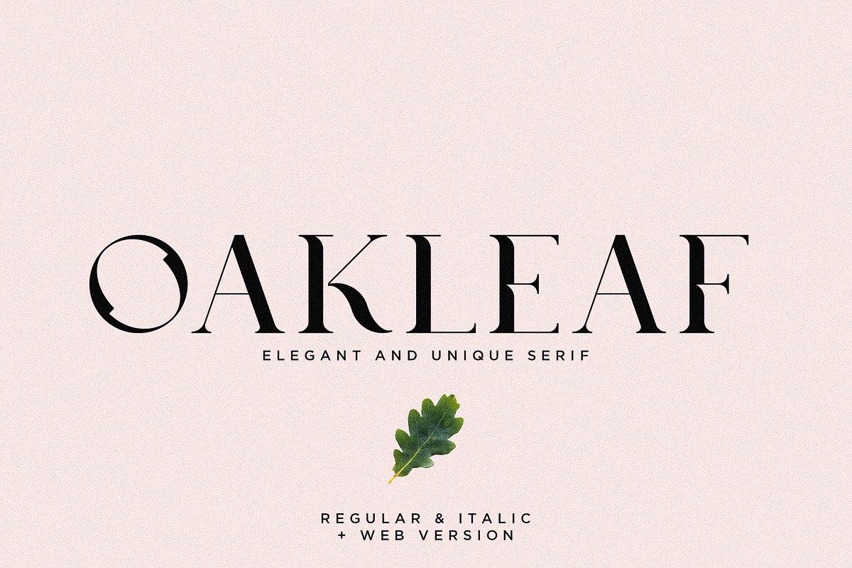 Oakleaf - Elegant & Unique Serif, a Serif Font by Mikhail Fukurou (Photo 1 of 9)