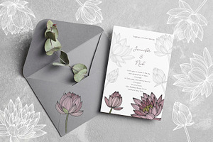 Lotus Floral Collection Vector SVG