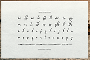 Moonlit Muse Handwritten Script Font, a Script Font by gracetype_studio (Thumbnail 12 of 12)