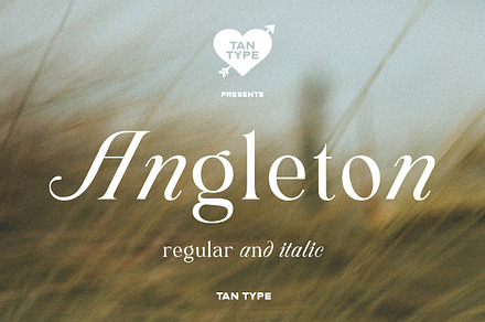 TAN - ANGLETON, a Serif Font by TanType