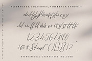 Fernando Willow Heart Script, a Script Font by Creativeqube Design (Thumbnail 9 of 9)