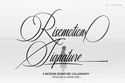 Risemotion Signature Font, a Script Font by Lemonthe (Thumbnail 1 of 12)