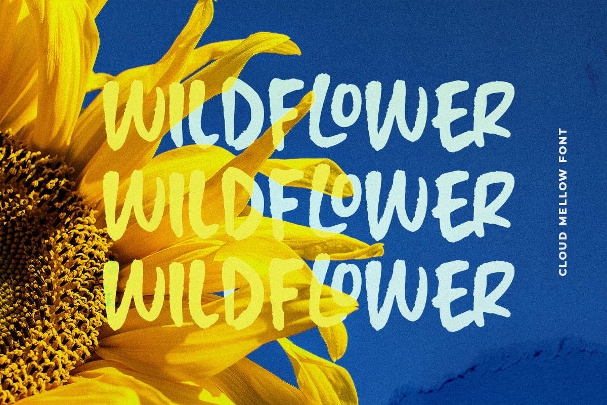Cloud Mellow - Brush Handwritten, a Handwritten Font by Letterhend Studio (Photo 2 of 9)