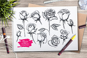 Hand Drawn Roses. Vintage set., a Graphic by Epine (Thumbnail 1 of 3)