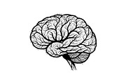 Brain Tree Knowledge Design Bundle, an Illustration by Gaye Art (Thumbnail 11 of 31)