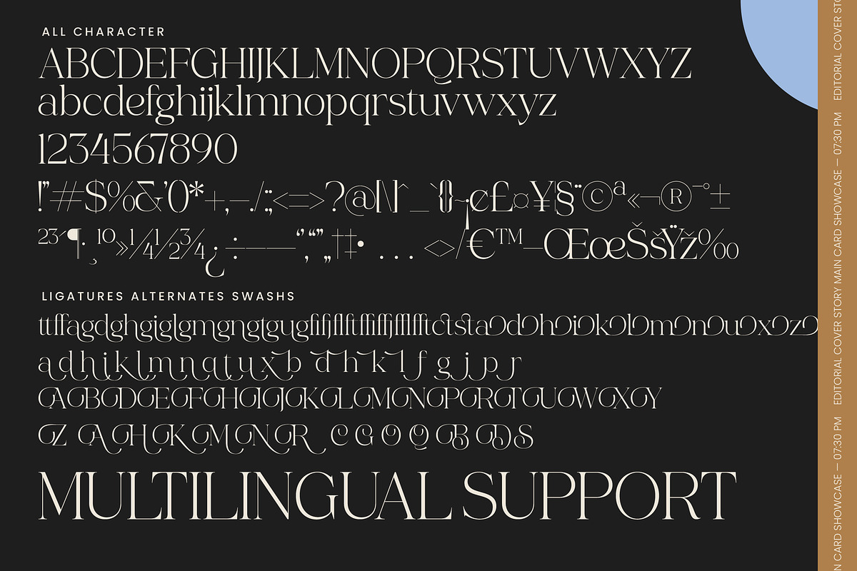 Collection Morning Modern Serif, a Serif Font by timelesstype.co (Photo 10 of 10)