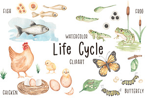 Watercolor Life Cycle Bundle