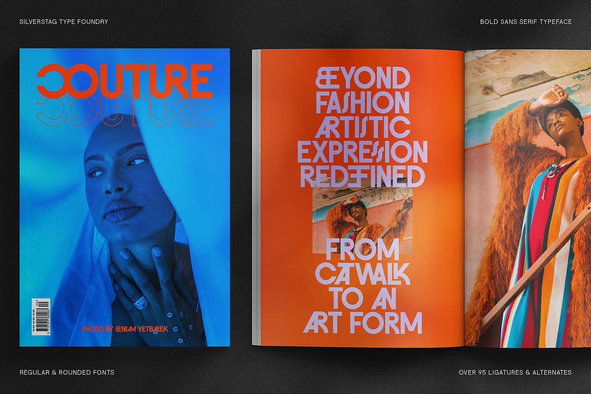FlyBridge - Bold Ligature Rich Sans, a Sans Serif Font by SilverStag Type Foundry (Photo 6 of 30)