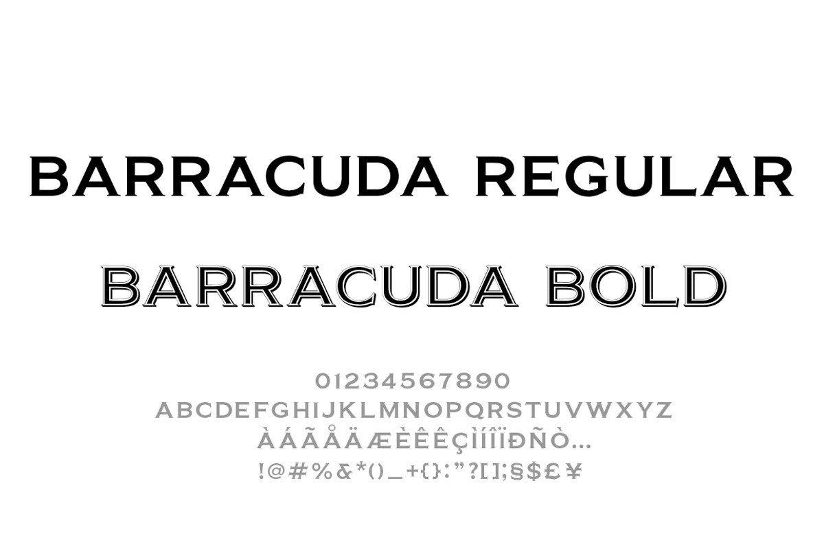 Barracuda Display - Logo Font preview 6