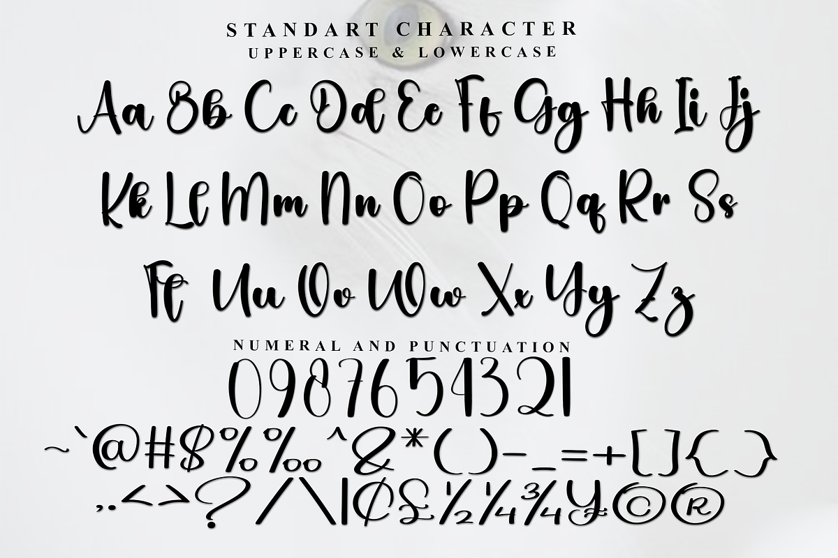 Chocolate, a Handwritten Font by InermediaSTUDIO (Photo 5 of 8)