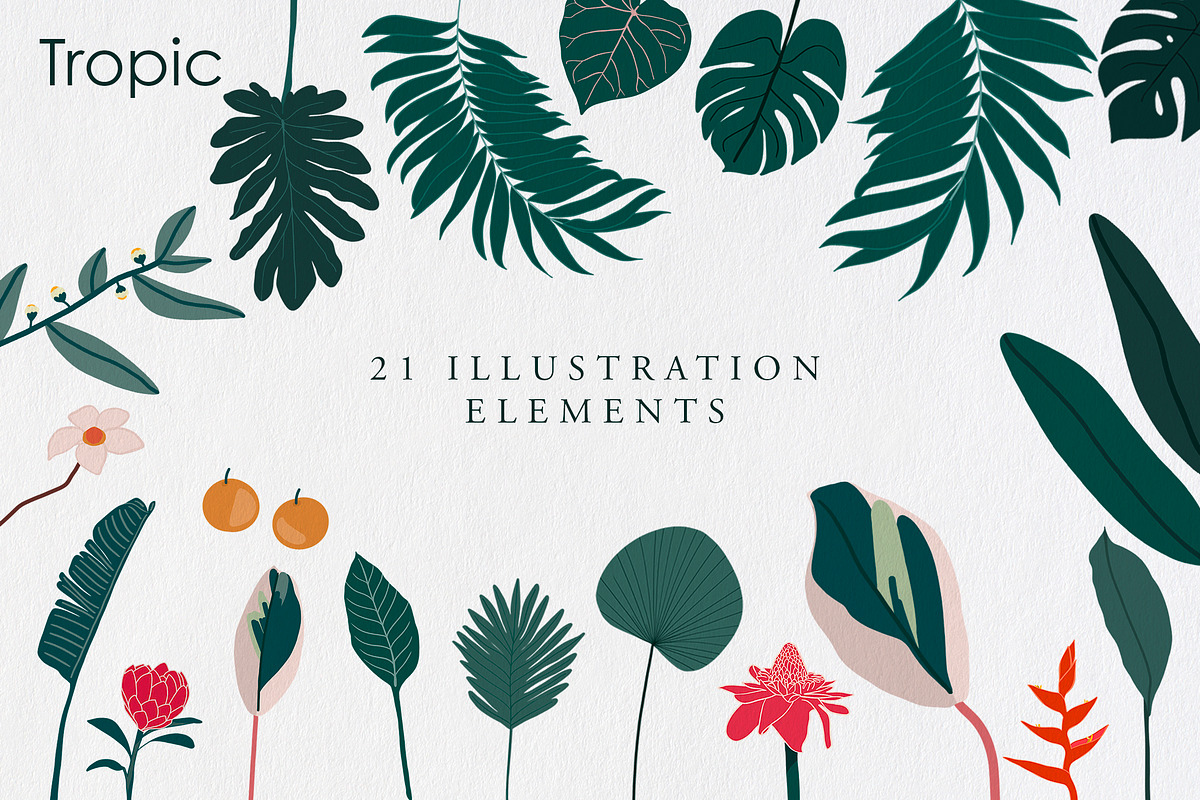 Tropic | Tropical Illustrations, an Illustration by new public (Photo 2 of 6)