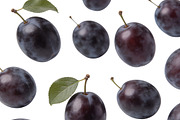 All Fruits Bundle Master Collection, a Food & Drink Photo by FlyeredTemplate (Thumbnail 113 of 130)