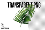 Leaves Clipart Png, an Illustration by Forhadx5 (Thumbnail 9 of 9)