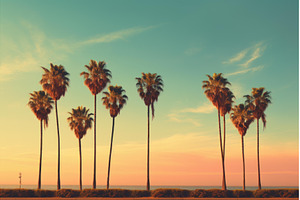 Chic Palm beach retro style, a Nature Photo by Ylivdesign