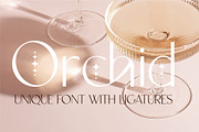 Elegant & Modern Font Bundle | Sale, a Sans Serif Font by Anna Zakharchenko (Thumbnail 11 of 37)