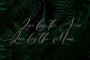 Black Cabaret Script Font & Logos, a Script Font by CallMeStasia (Thumbnail 16 of 18)