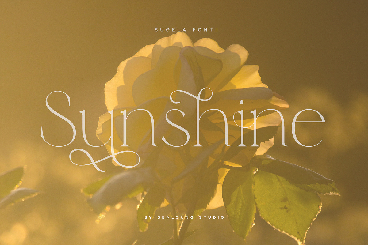 Free Download - Fontfreebie