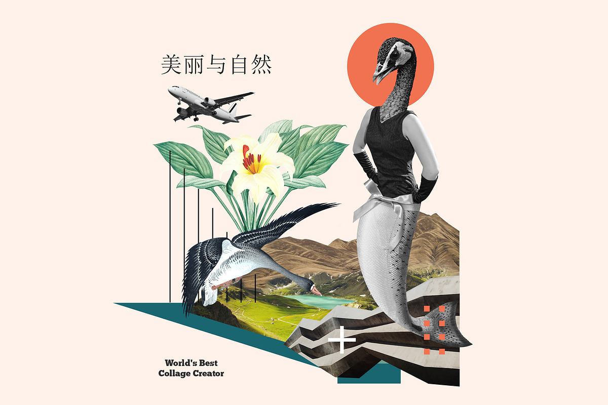 World's Best Collage Creator, an Animal Illustration by SNIPESCIENTIST (Photo 23 of 48)