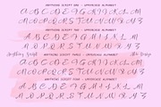 Anything Script || 8 Fonts, a Script Font by Aldedesign (Thumbnail 15 of 17)
