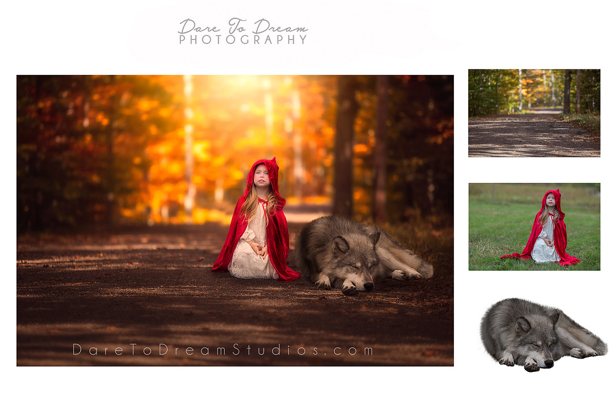 15 - PNG Wolves - Collection, an Object Graphic by DareToDream (Photo 3 of 8)