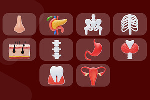 Human Organ Icon Pack