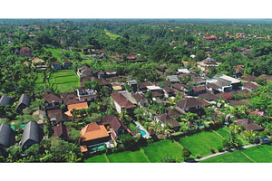Lush green rice paddies and houses, a Nature Photo by Goinyk
