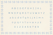 Quilt & Barley, a Sans Serif Font by Bruised Goods (Thumbnail 6 of 13)