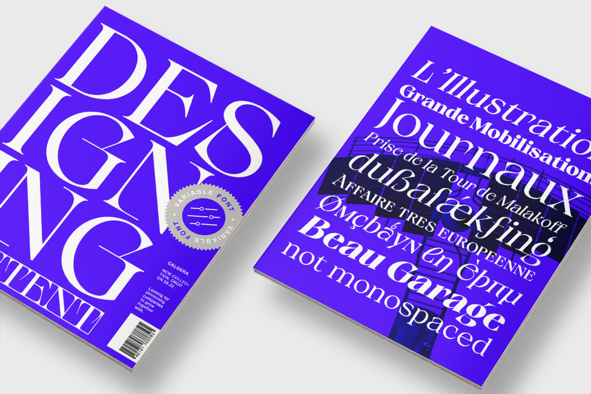 Calgera, a Serif Font by TRF Fonts (Photo 10 of 16)