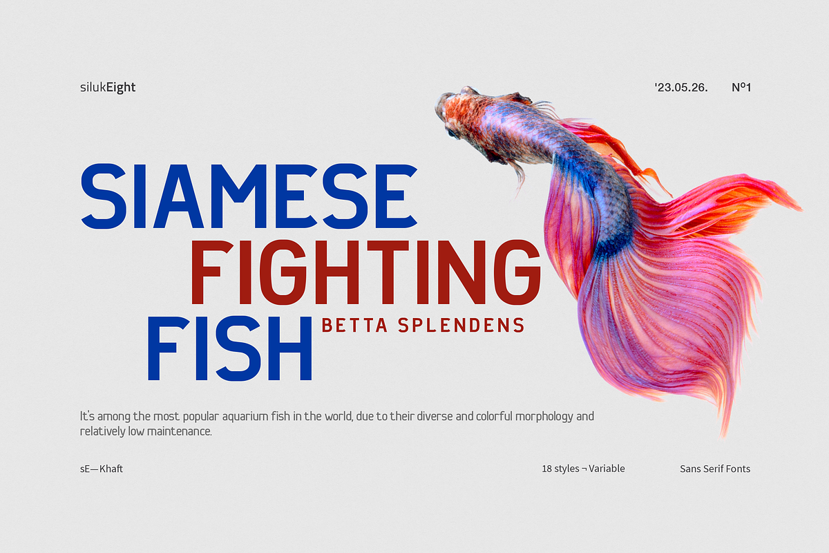 sE—Khafr, a Sans Serif Font by silukEight (Photo 5 of 10)