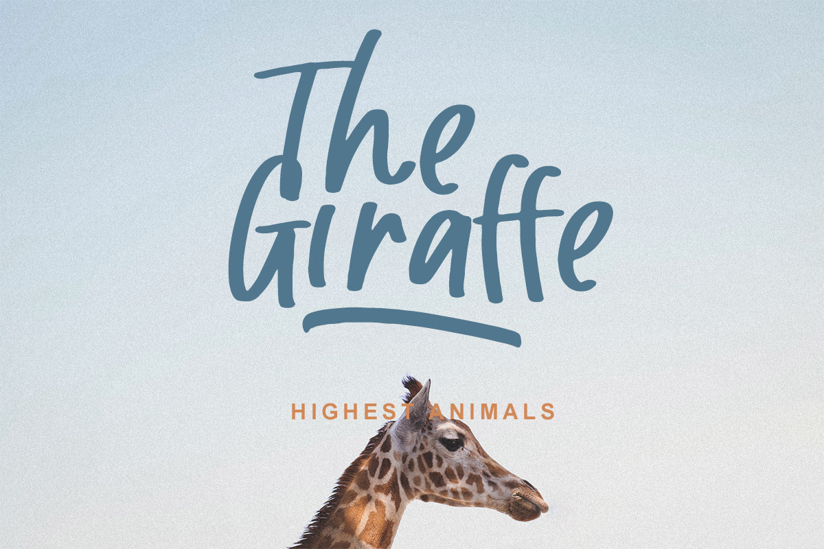 Movelite - Bold Handwriting Font, a Font by Bale Type (Photo 2 of 9)