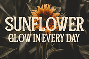 Queenbear, a Serif Font by And Studio (Thumbnail 12 of 16)