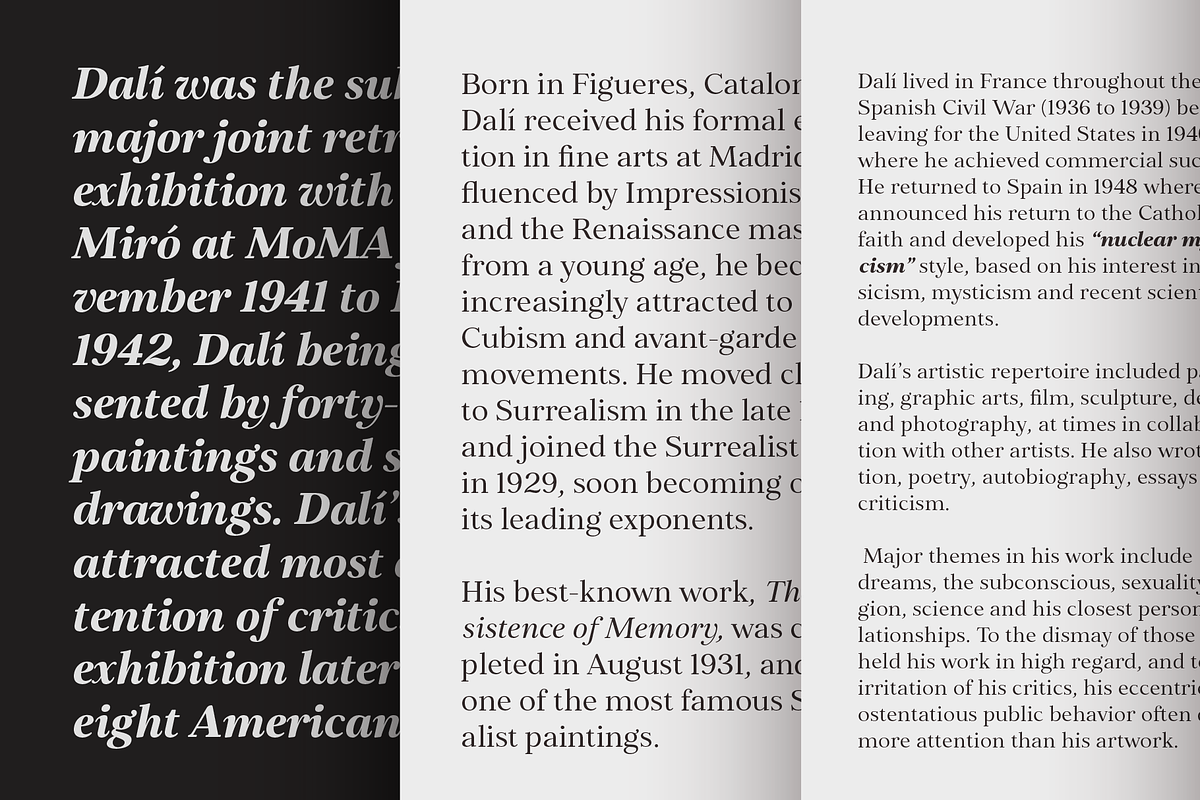Elgraine – 18 Fonts, a Serif Font by Nasir Udin (Photo 6 of 14)