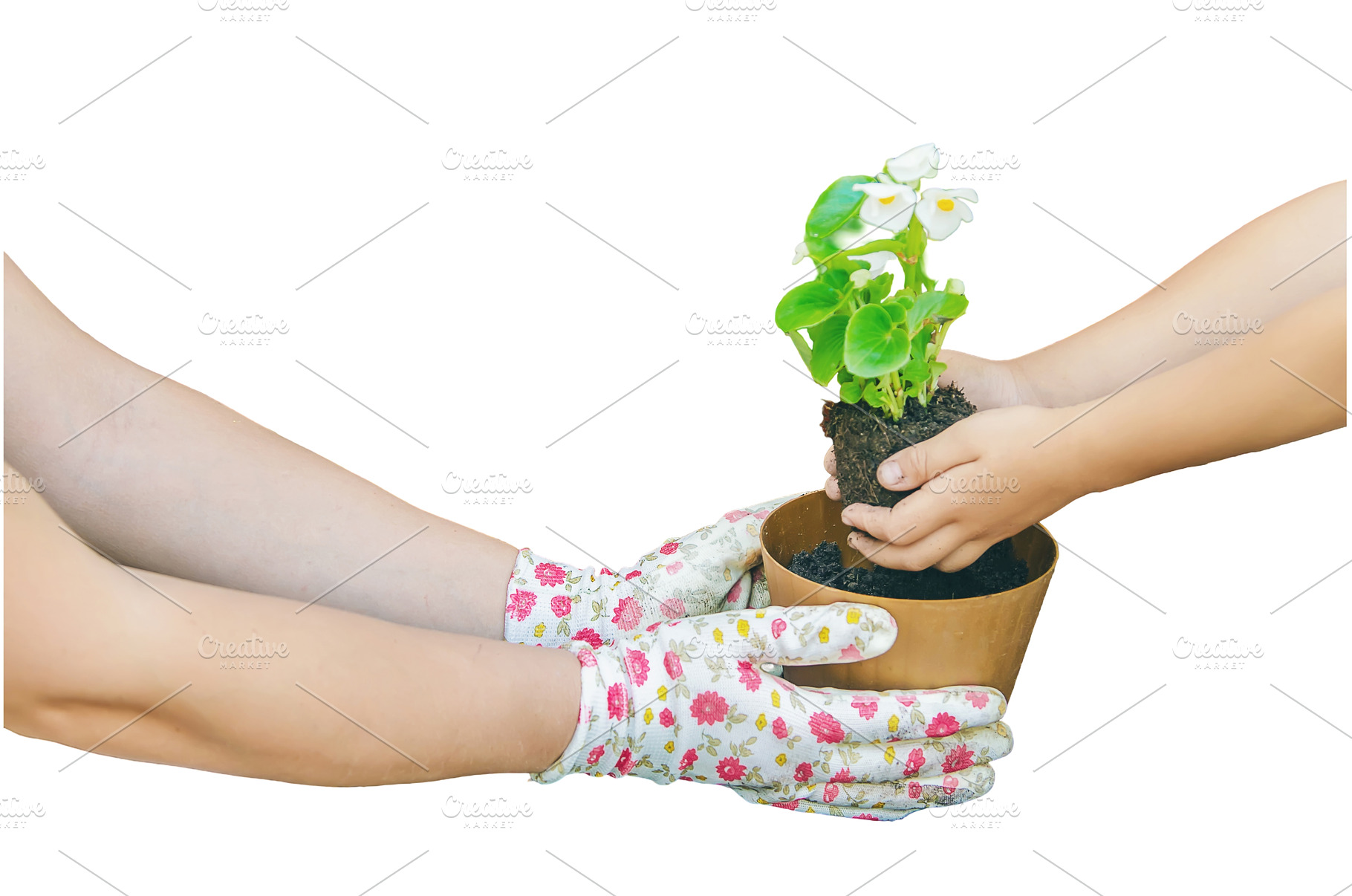 A little girl is planting flowers, a Nature Photo by yanadjana
