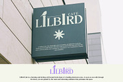 Gamilia Blur, a Serif Font by Craft Supply Co. (Thumbnail 7 of 8)