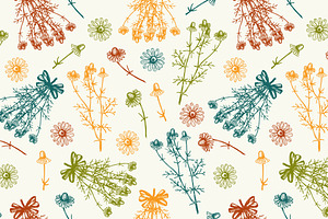 Vector Set Of Hand Drawn Camomile