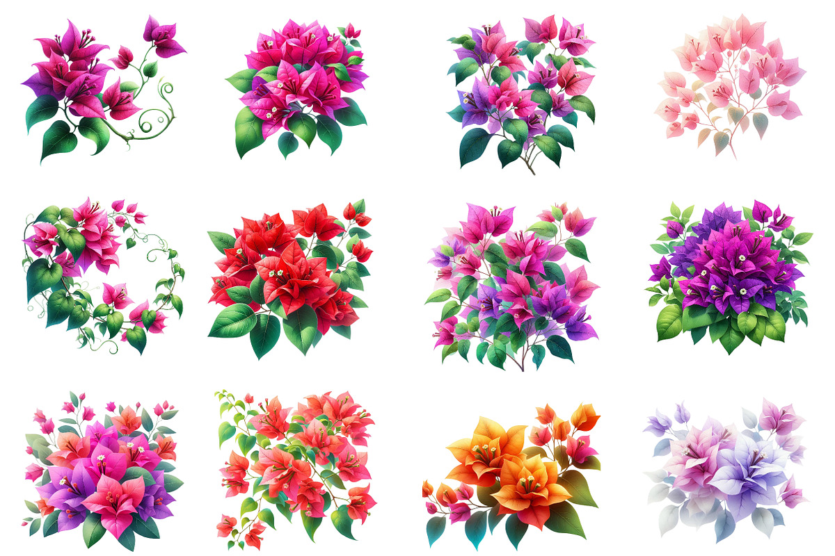 Bougainvillea Flowers Clipart Bundle, an Illustration by Dream Creation (Photo 3 of 5)