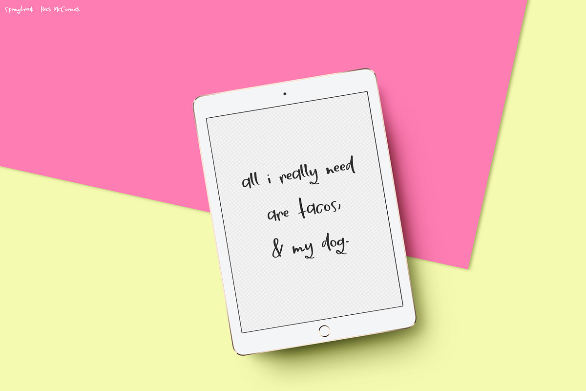 Springbreak Sans, a Script Font by Beck McCormick (Photo 5 of 8)