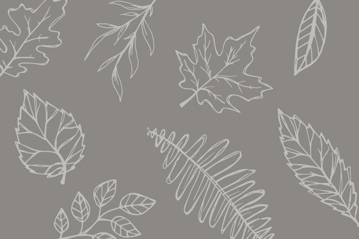 Hand-Illustrated Leaf Vectors, an Illustration by Britt Fabello (Photo 5 of 5)