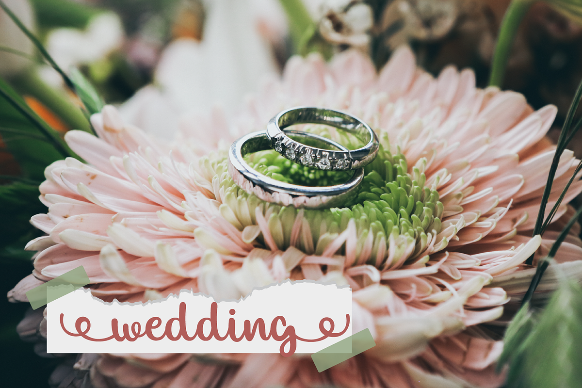 Allexa | Script Font, a Script Font by Suntype | Sunshine Std (Photo 6 of 10)