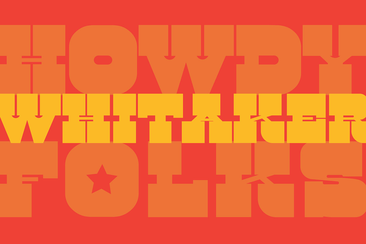 WHITAKER DISPLAY, a Slab Serif Font by Midnight Grim (Photo 3 of 5)