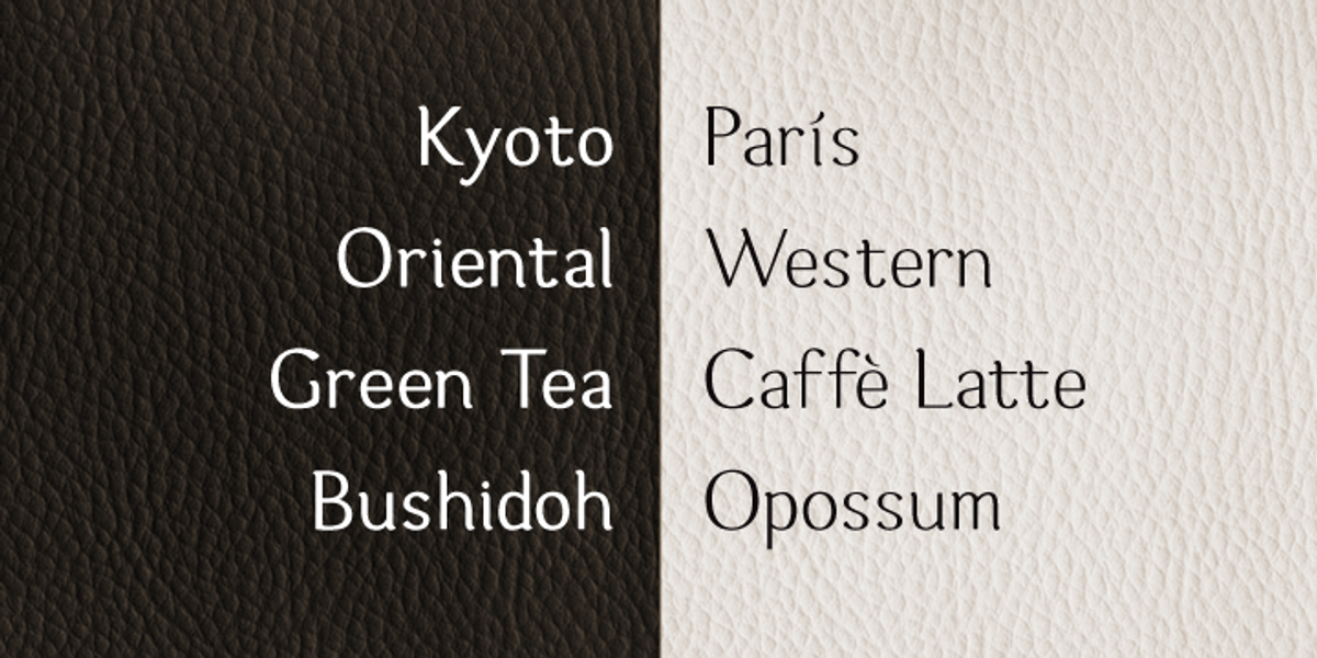 Hideko, a Serif Font by Khaito Gengo (Photo 3 of 7)