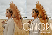 Canopy - Earthy Lightroom Presets, an Action Add-On by Presetrain Co. (Thumbnail 7 of 8)