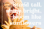 Sunday Ridges Retro Serif Font, a Serif Font by timelesstype.co (Thumbnail 11 of 20)