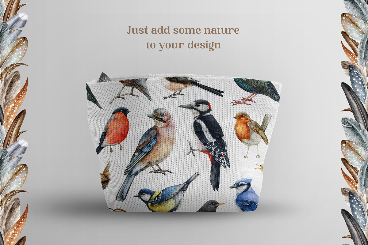 Forest Birds Watercolor Set, an Animal Illustration by AnitaPol (Photo 21 of 26)